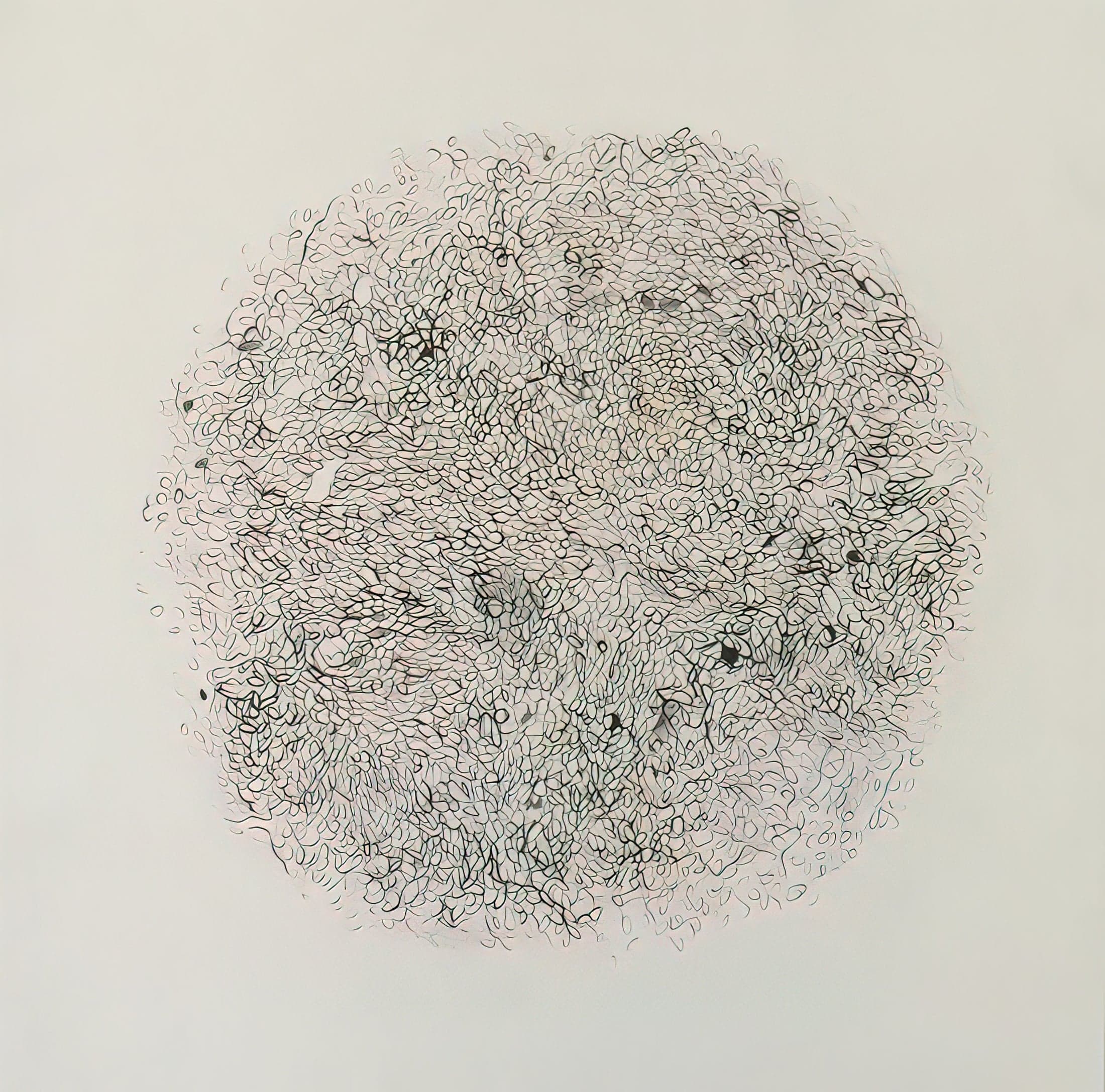 강애자의 Tae-Mong IX-1